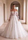 Brautkleid BRANDA — Ballkleid, Illusion, Spitze, Tüll, Glitzer-Tüll — ganze Silhouette